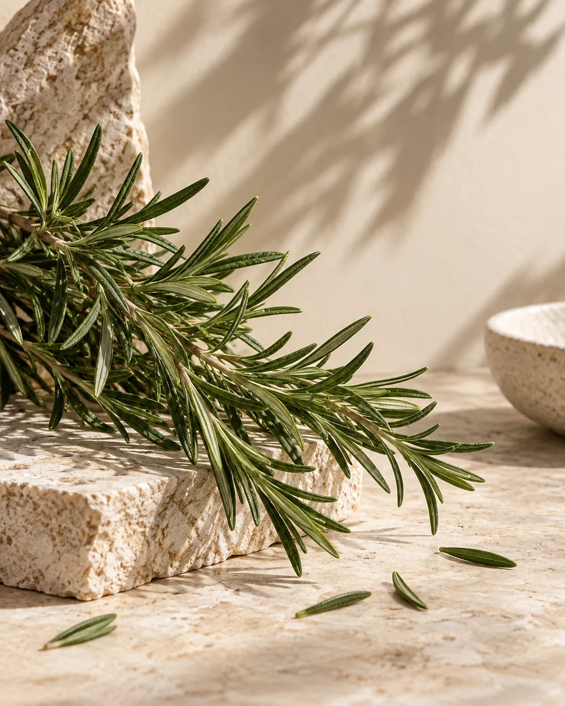 Fresh rosemary sprigs arranged on warm textured stone.